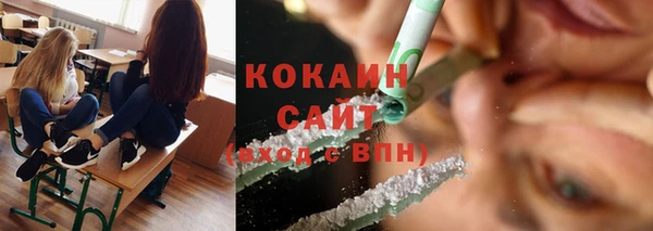 шишки Балахна