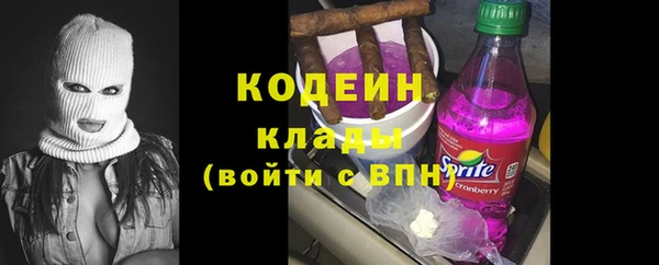 шишки Саяногорск