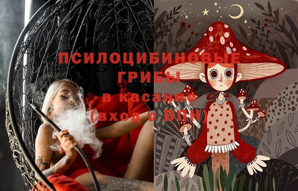 шишки Саяногорск