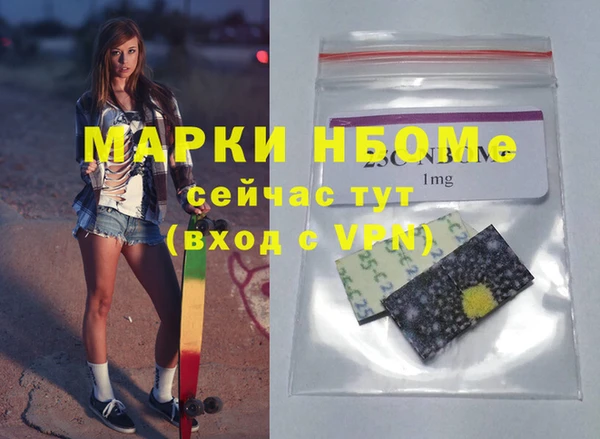 шишки Саяногорск